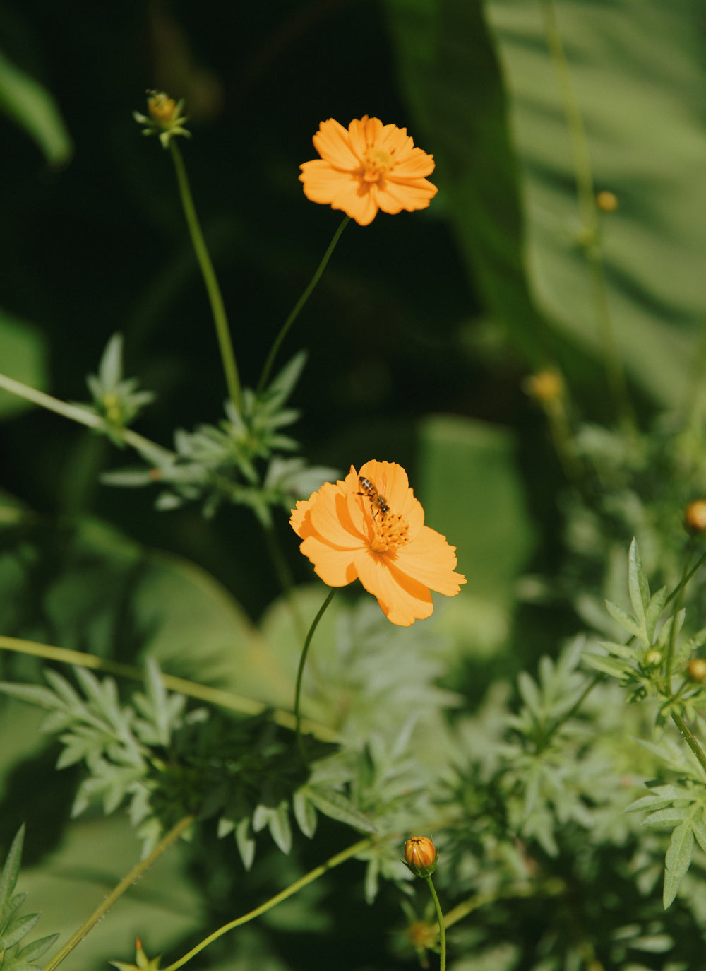 Your Skin Is an Organ — Let’s Treat It Like One