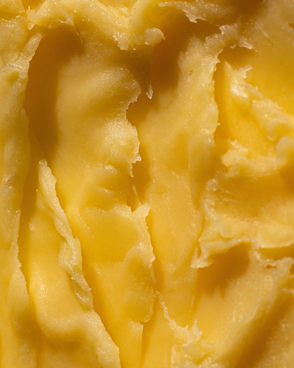 Hydrated & Supple Face Cream - Deep Nutrient Face Cream for Skin Regeneration & Cellular Glow