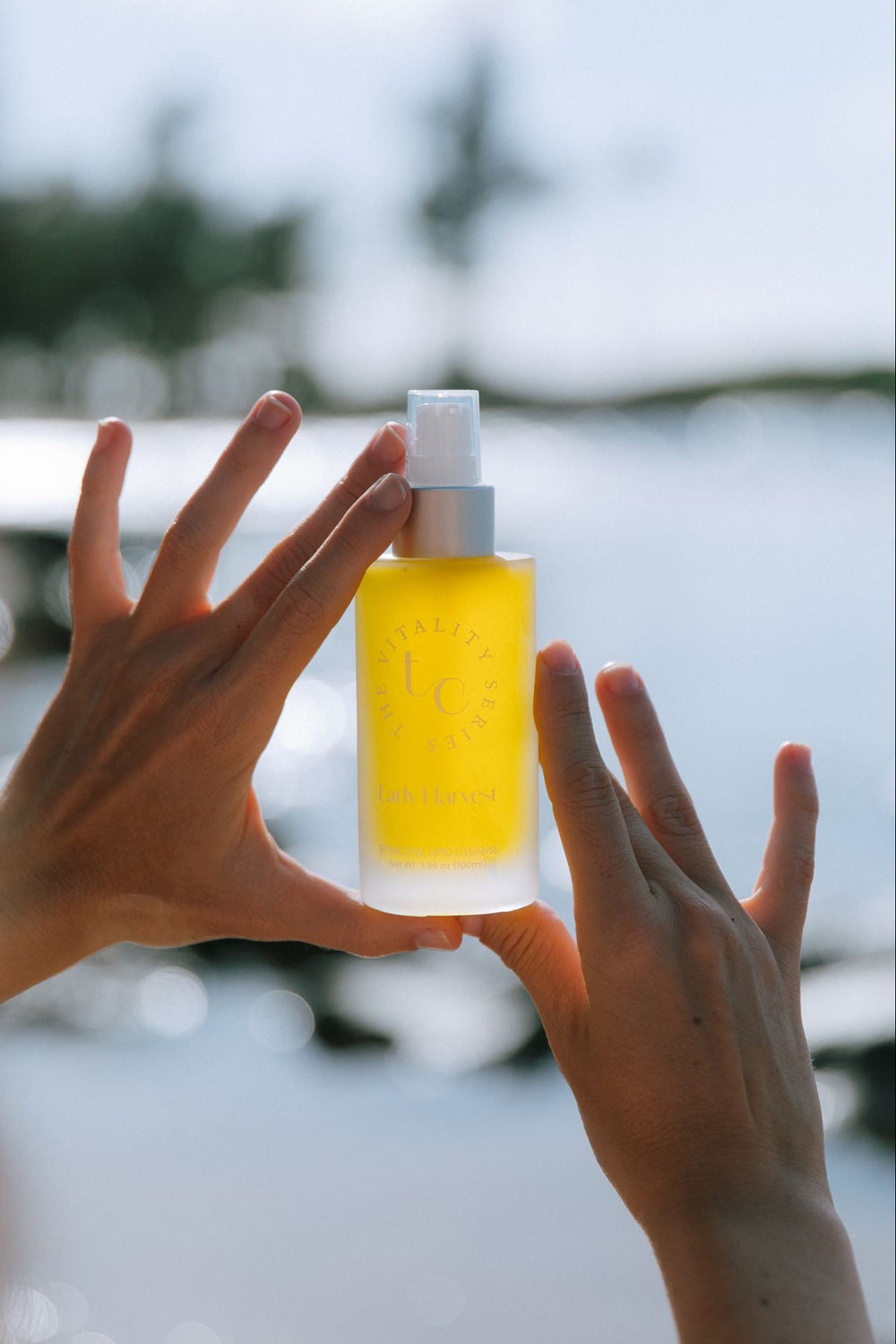 Early Harvest Cleansing Oil - Polyphenol-Rich Skinfood Cleanser