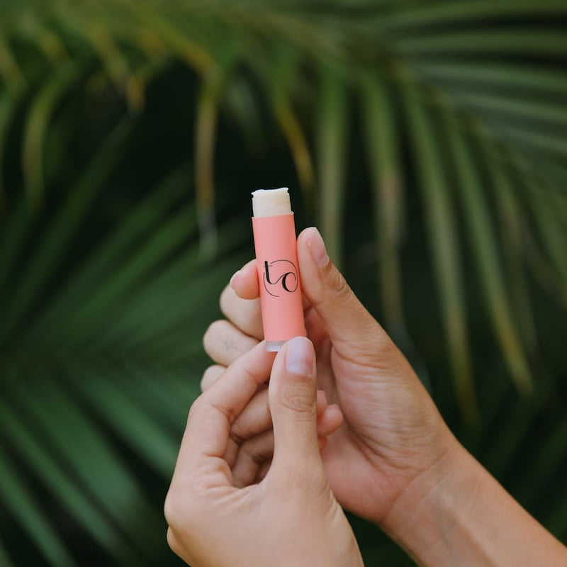 All I Need lip balm flat lay — grass-fed tallow and raw honey lip care
