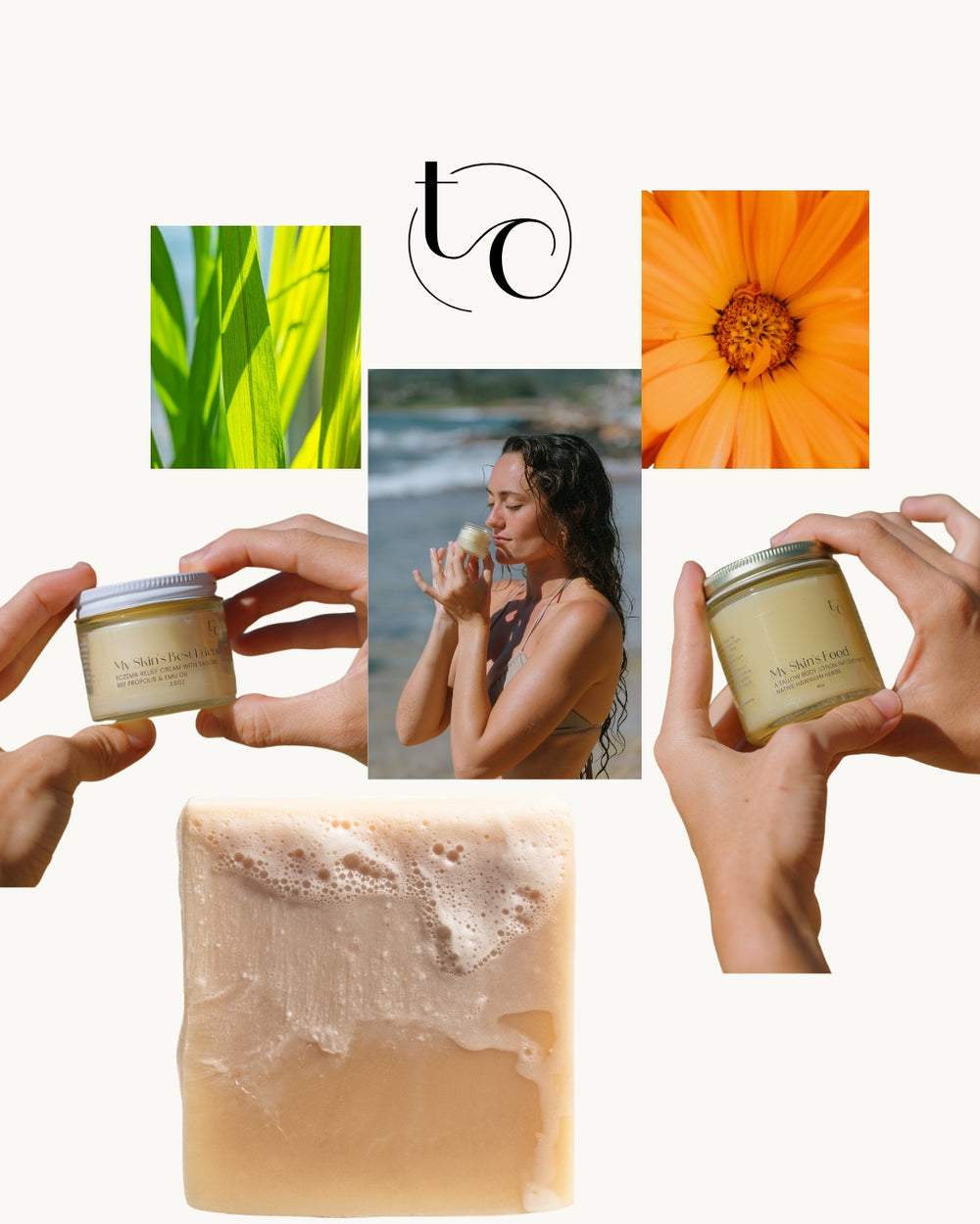 The Cellular Foundations Routine