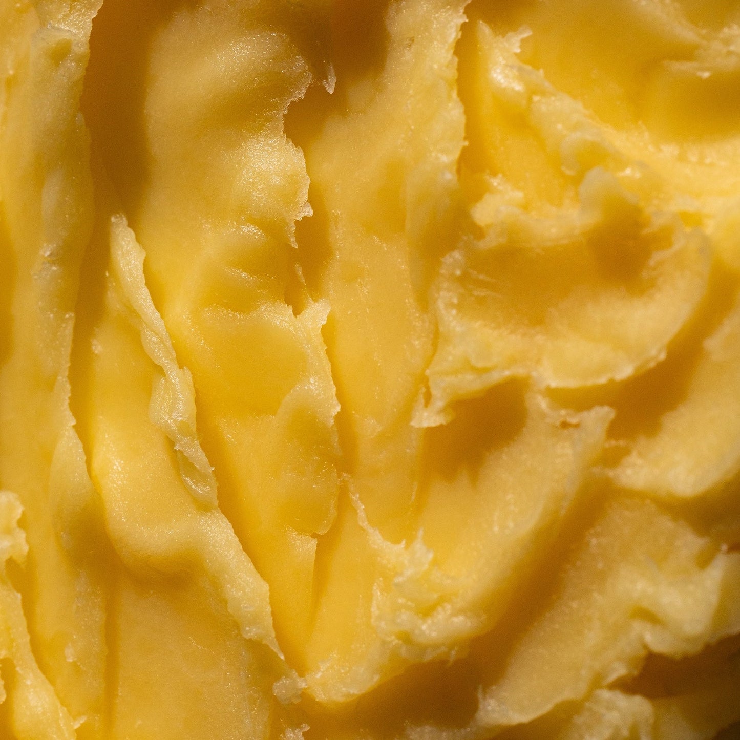 Hydrated & Supple Face Cream - Deep Nutrient Face Cream for Skin Regeneration & Cellular Glow