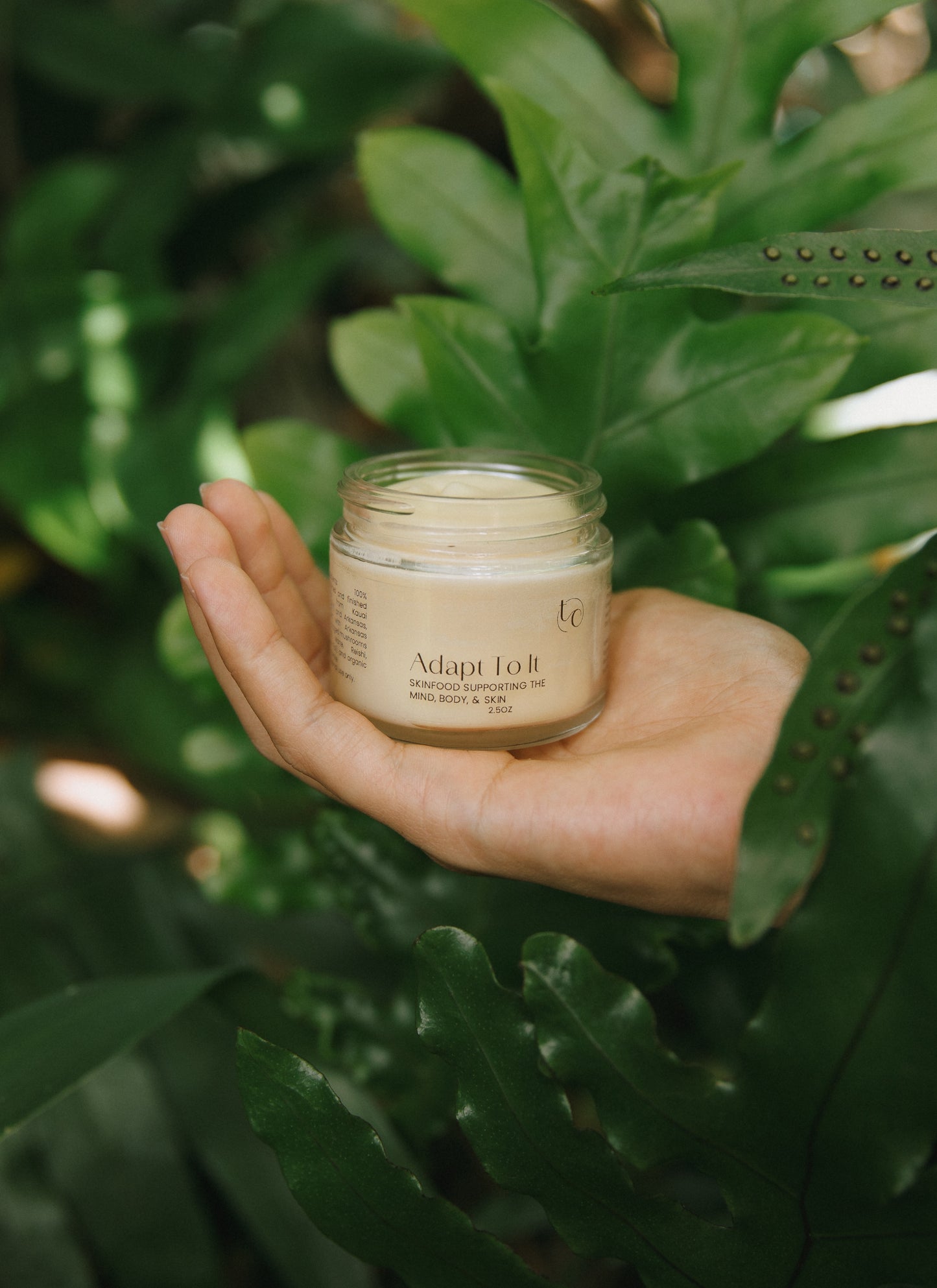 Adapt To It - Tallow Rub with Lion’s Mane, Reishi & Turkey Tail for Immune, Hormonal & Cognitive Support