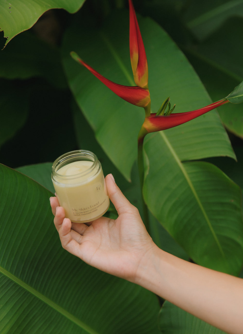 My Skin’s Food - Tallow Lotion with Native Hawaiian Herbs for Nourished, Soft Skin