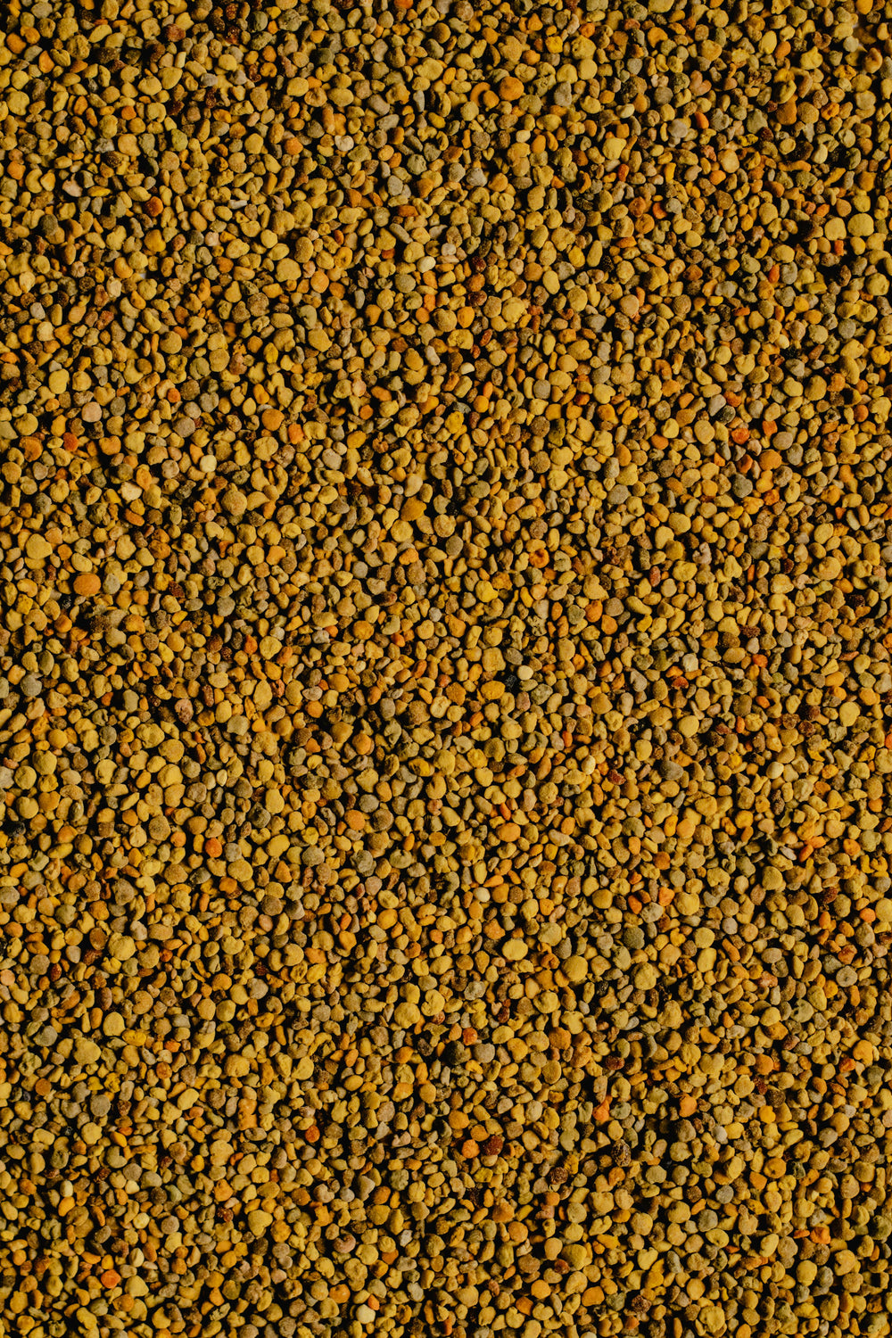 image column image