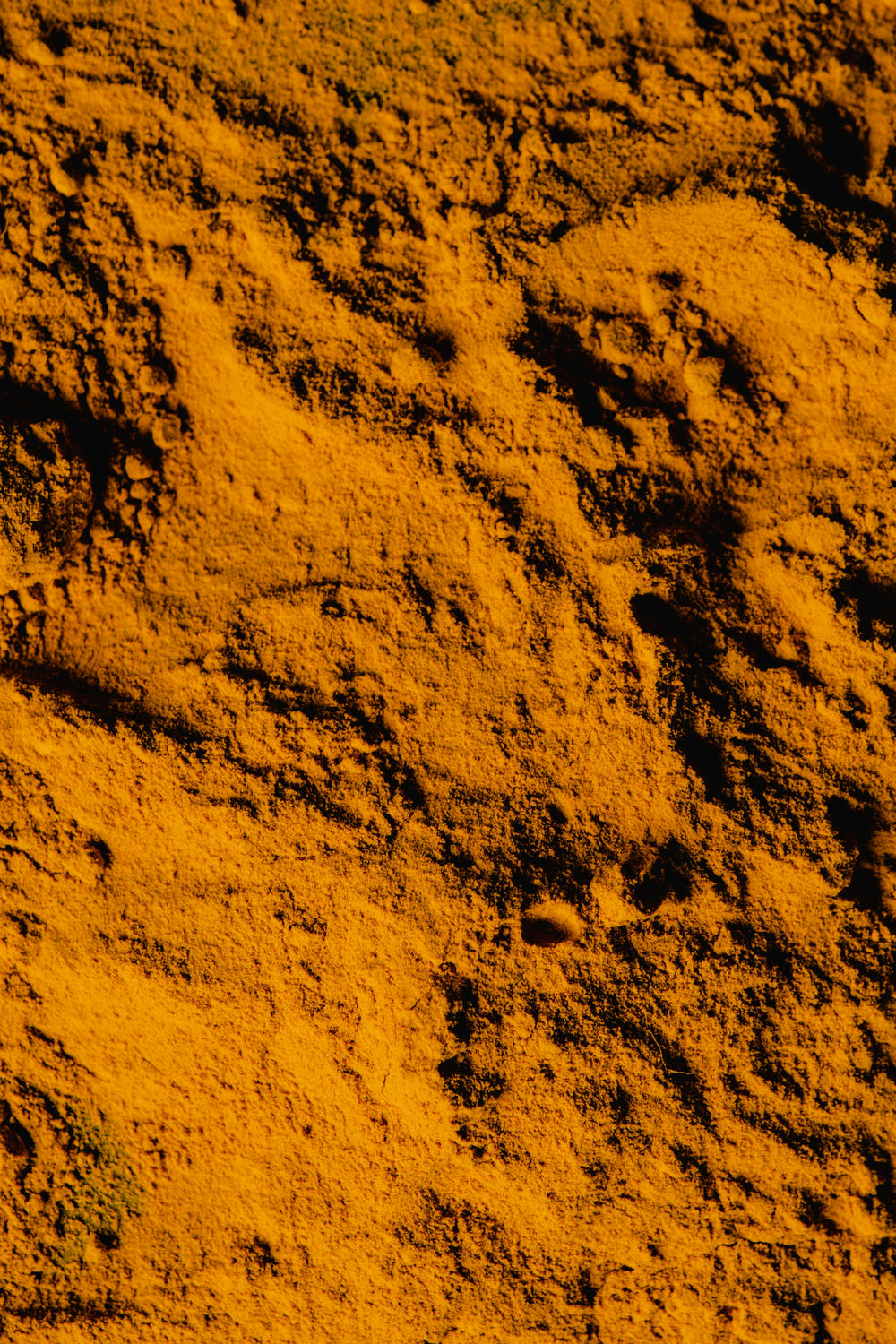 image column image
